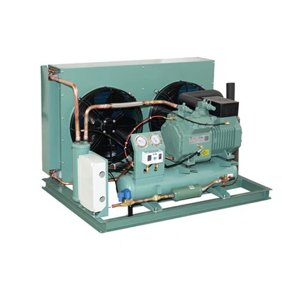 2 fläkt H - Typkondenseringsenhet med semi - Hermetic Bitzer Compressor|Hög - Effektivitetsenhet